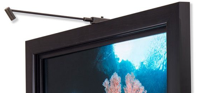 Underwater coral scene in a black frame, expertly lit with an adjustable art light