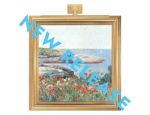 Direct Connect Vision Series