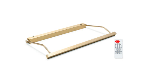 Rechargeable Vision Series Picture Light: Wireless & Remote Controlled LED Art Light